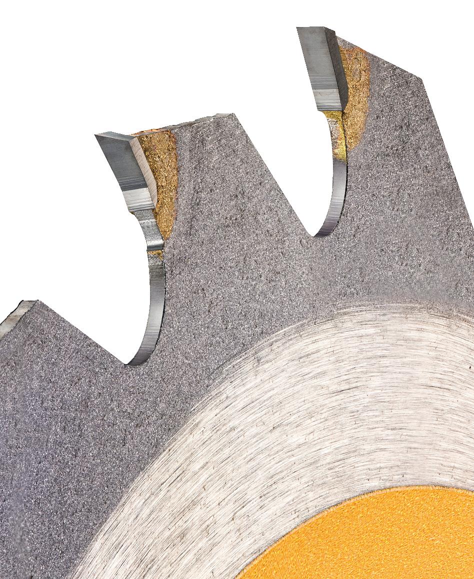 Pilový kotouč Dewalt XR FLEXVOLT DT99563